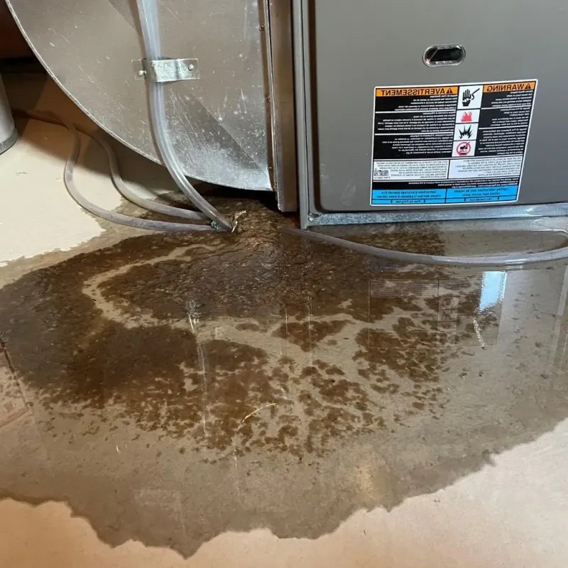 Pipe Burst and Leak Restoration in West Falls Church, VA